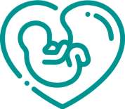Pregnancy / Lactation